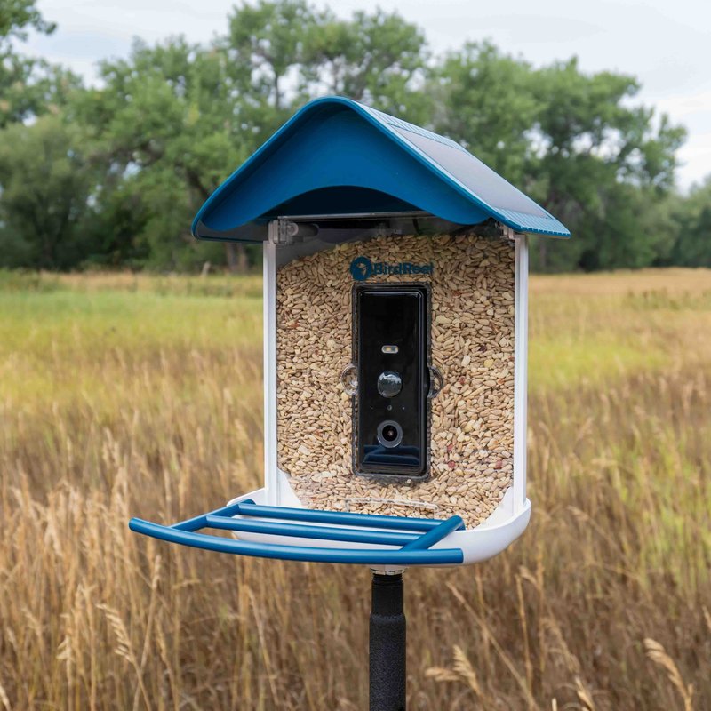 BirdReel BF23 Smart Bird Feeder