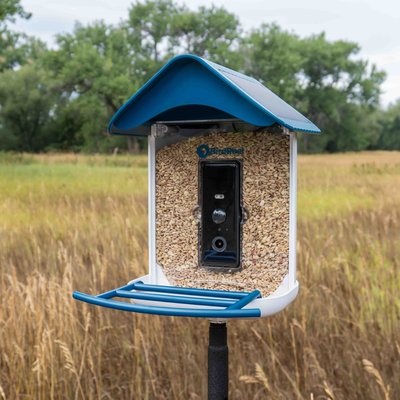 BirdReel BF23 Smart Bird Feeder