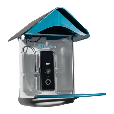 BirdReel BF23 Smart Bird Feeder