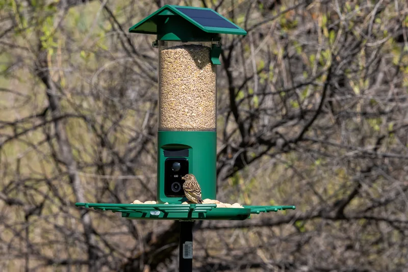 Pre-Order - BF27 High Seed Capacity Dual Camera Feeder