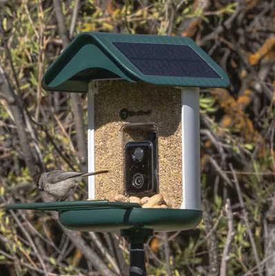 BirdReel BF11 Gen 2 Smart Bird Feeder