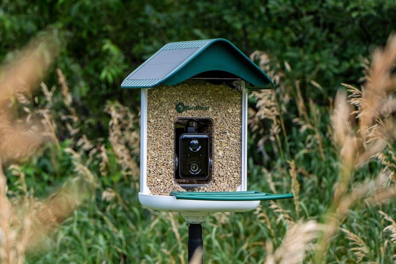 BirdReel BF11 Gen 2 Smart Bird Feeder
