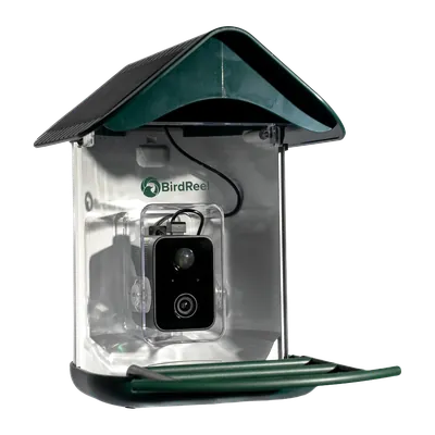 BirdReel BF11 Gen 2 Smart Bird Feeder