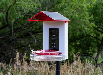 BirdReel HM01 Smart Hummingbird Feeder