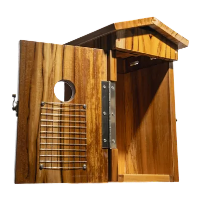 BirdReel NH13T Teakwood Smart Bird House