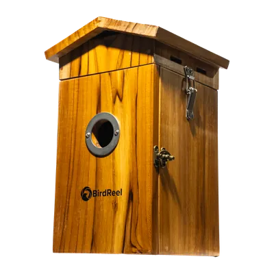 BirdReel NH13T Teakwood Smart Bird House