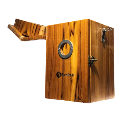 BirdReel NH13T Teakwood Smart Bird House