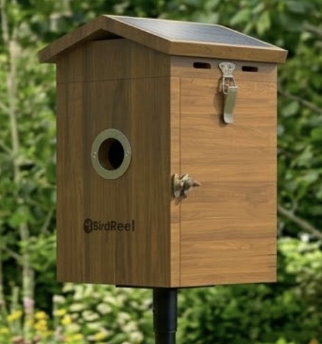 BirdReel NH13T Teakwood Smart Bird House