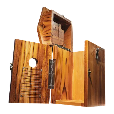 BirdReel NH13T Teakwood Smart Bird House