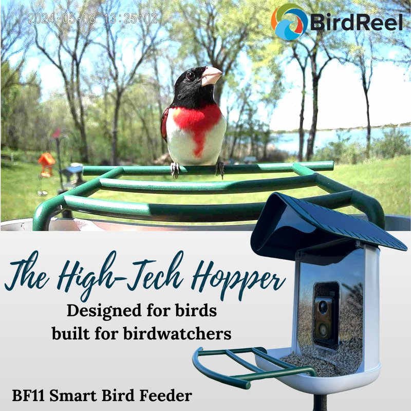 March 2025 Social Ads