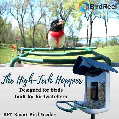 March 2025 Social Ads