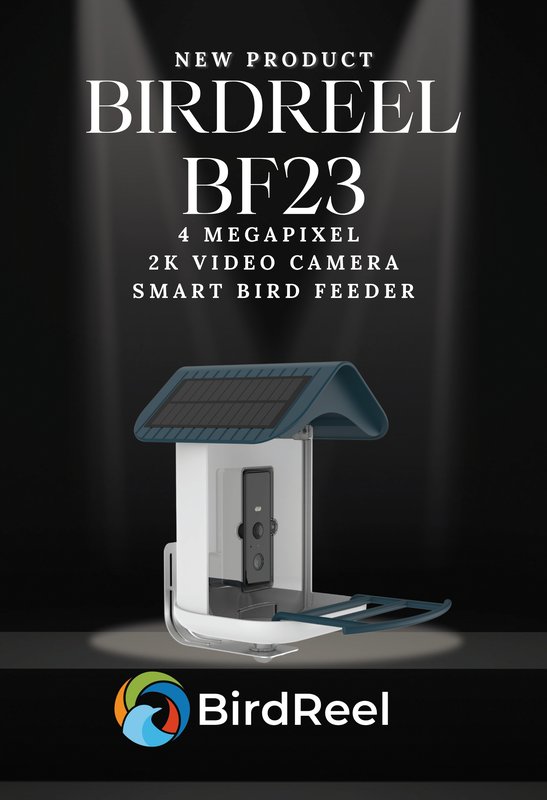 BirdReel Merchandising Downloads - BF23 - 4MP 2K Smart Bird Feeder