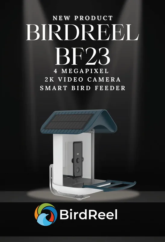 BirdReel Merchandising Downloads - BF23 - 4MP 2K Smart Bird Feeder