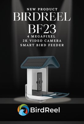 BirdReel Merchandising Downloads - BF23 - 4MP 2K Smart Bird Feeder
