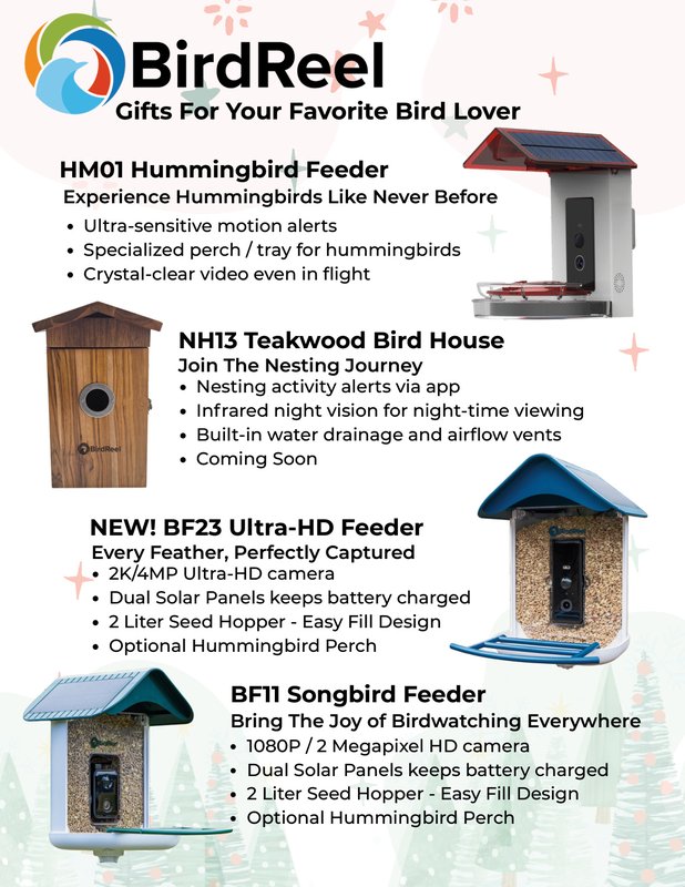 BirdReel Holiday Review Handout Download