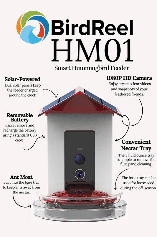 **NEW** BirdReel Product Review Postcards Downloads