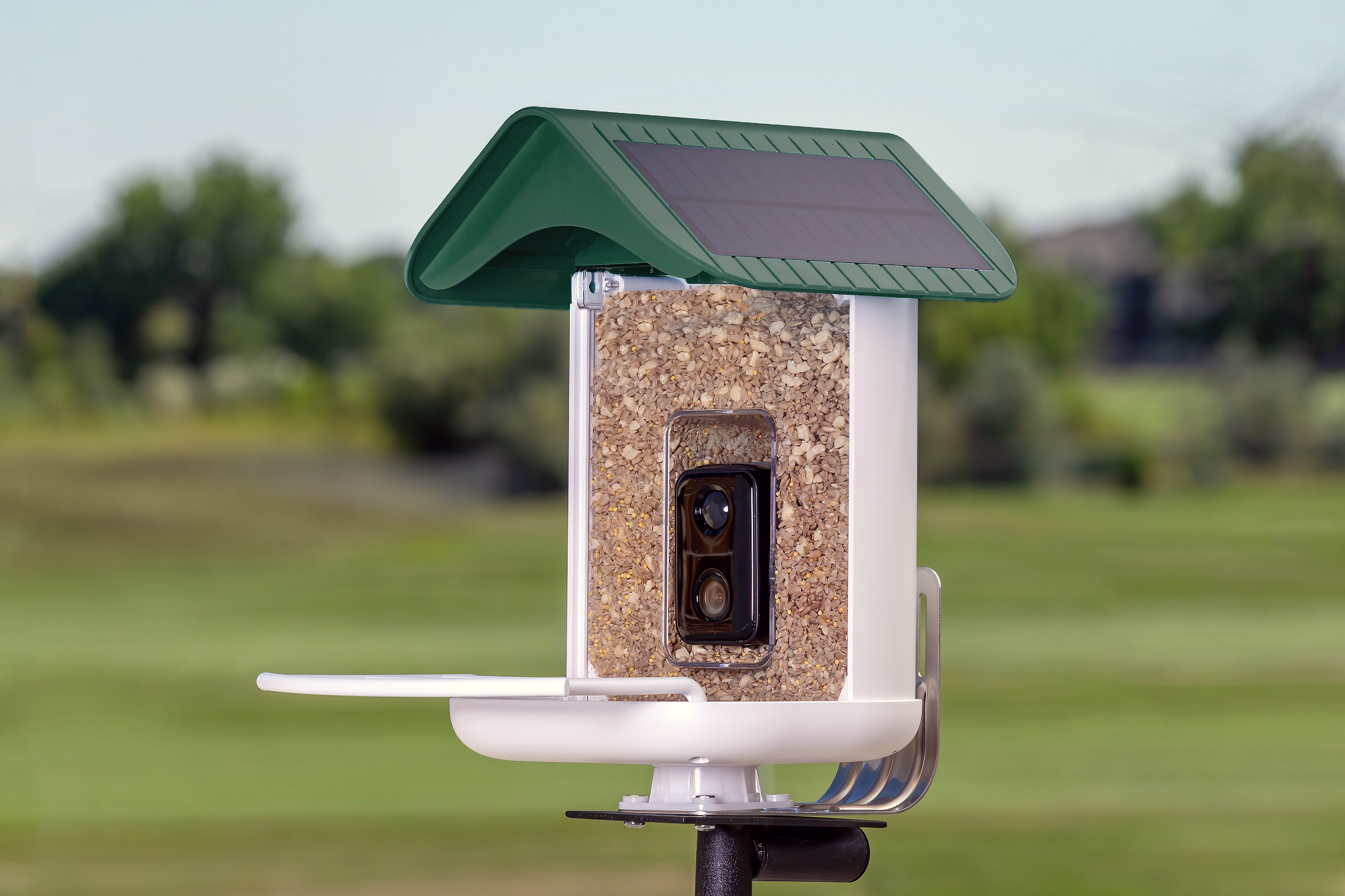 Elevate Your Bird Watching Experience with the Wild Birds Colorado Smart Bird Feeder with Camera