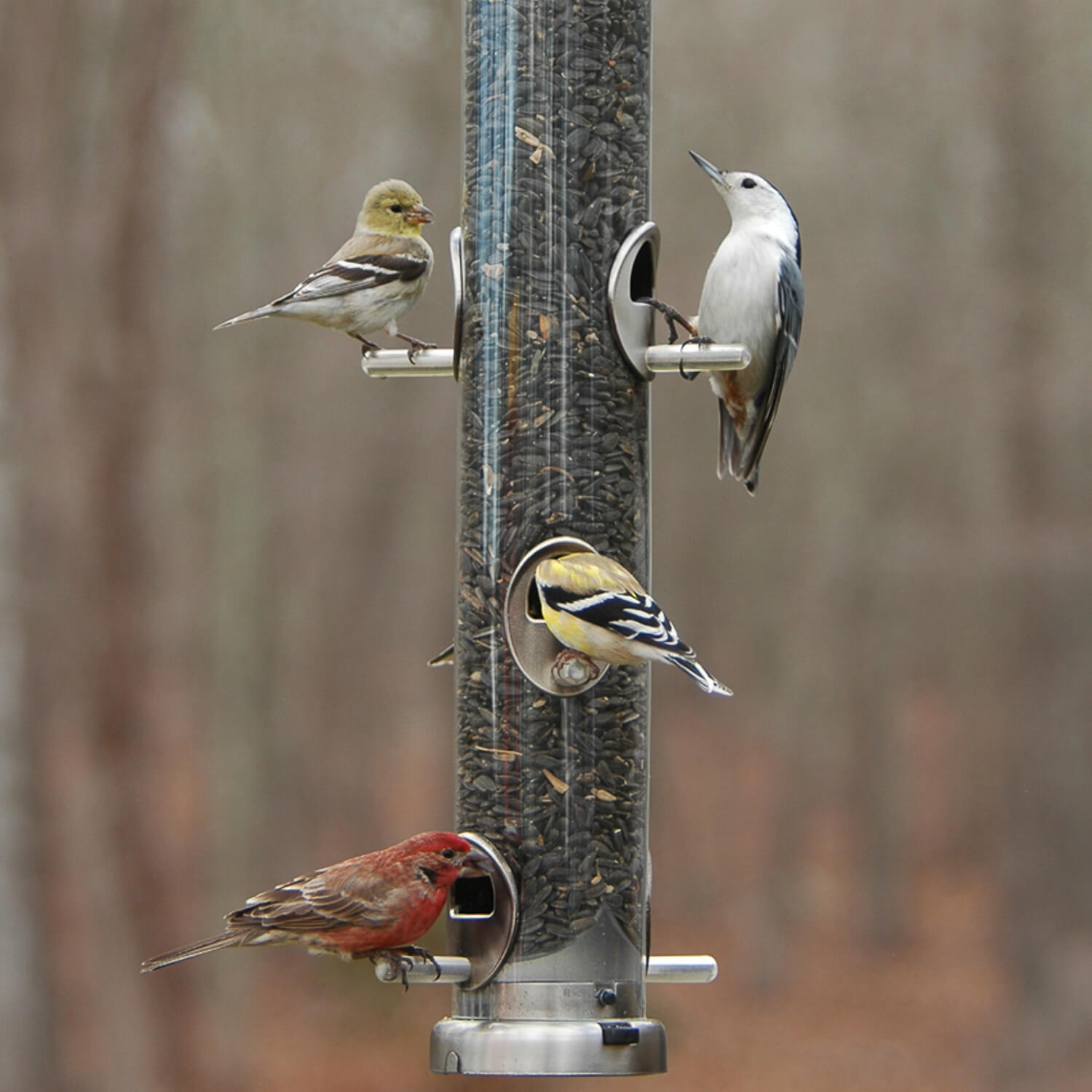 Quick-Clean® Large Seed Feeders