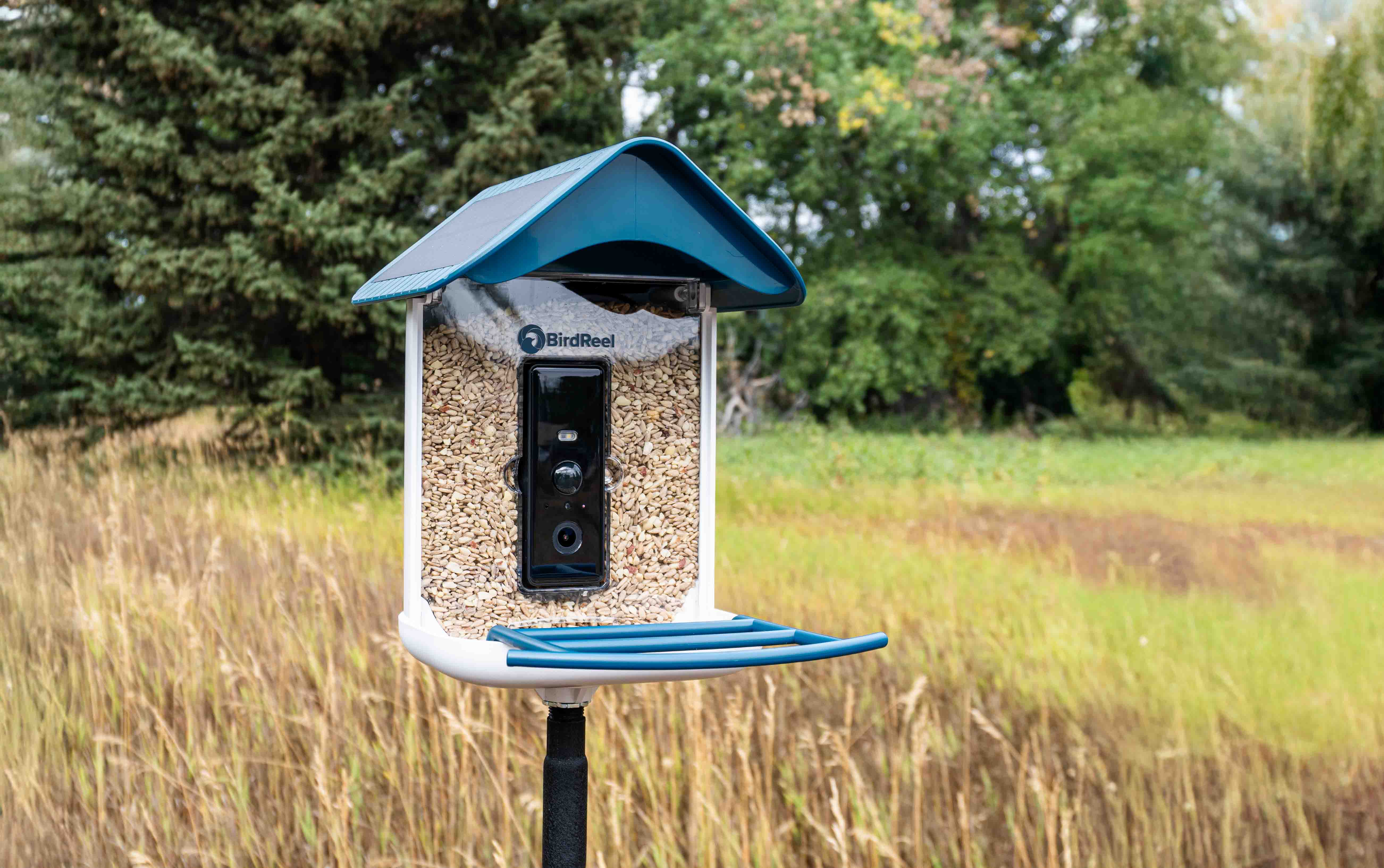 How Bird Feeders Can Help Support Local Wildlife