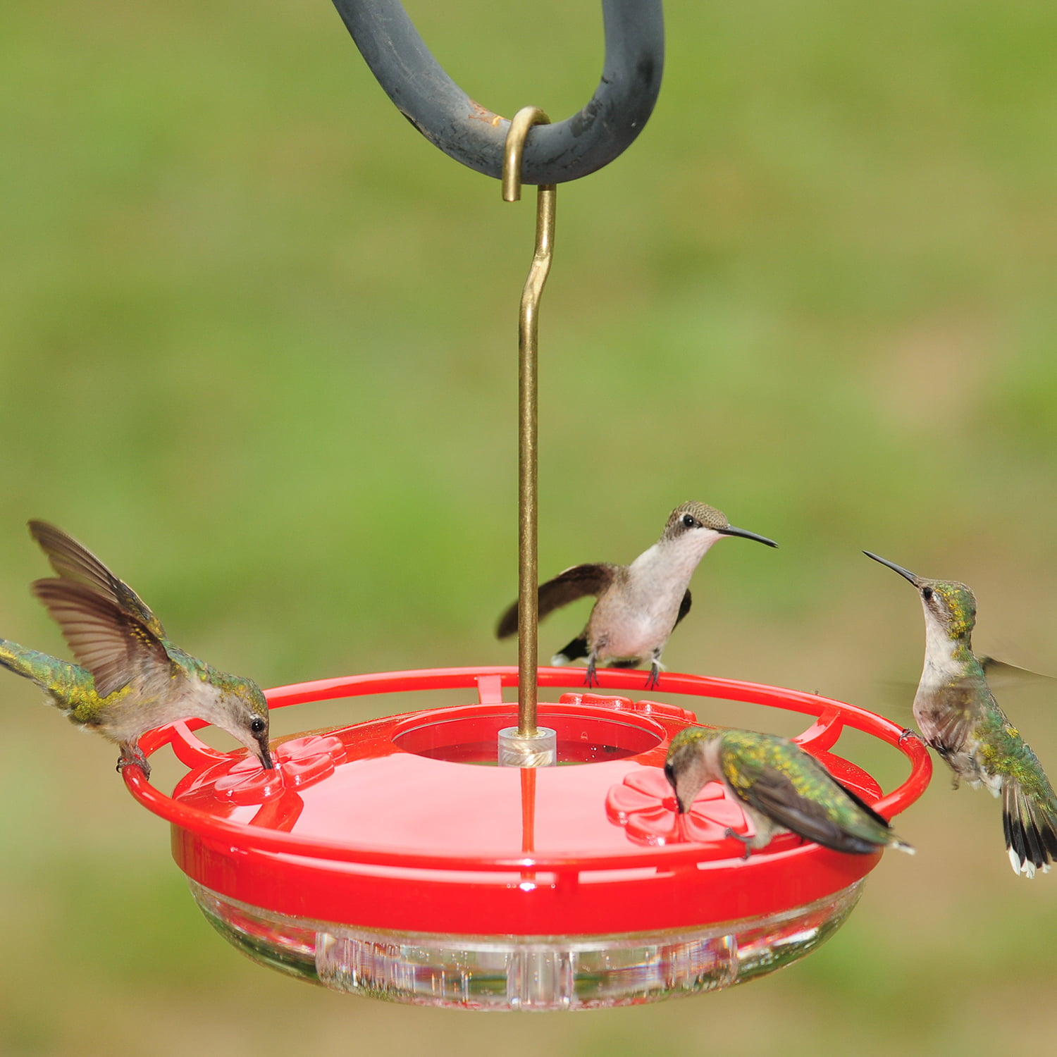 Small HighPerch™ Hummingbird Feeder