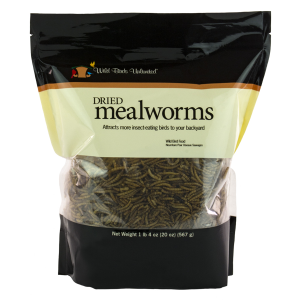 Dried Mealworms