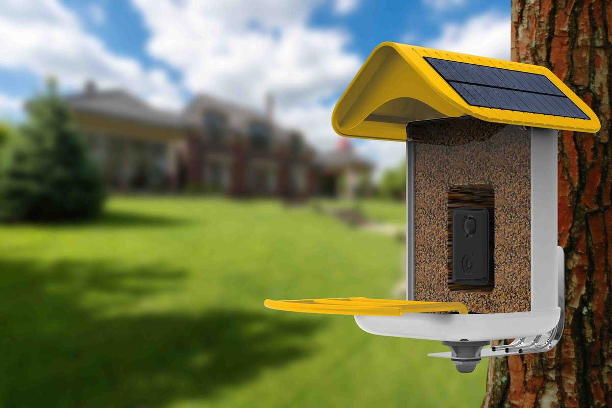 Sustainable Birdwatching: How Solar-Powered Feeders Help You Go Green