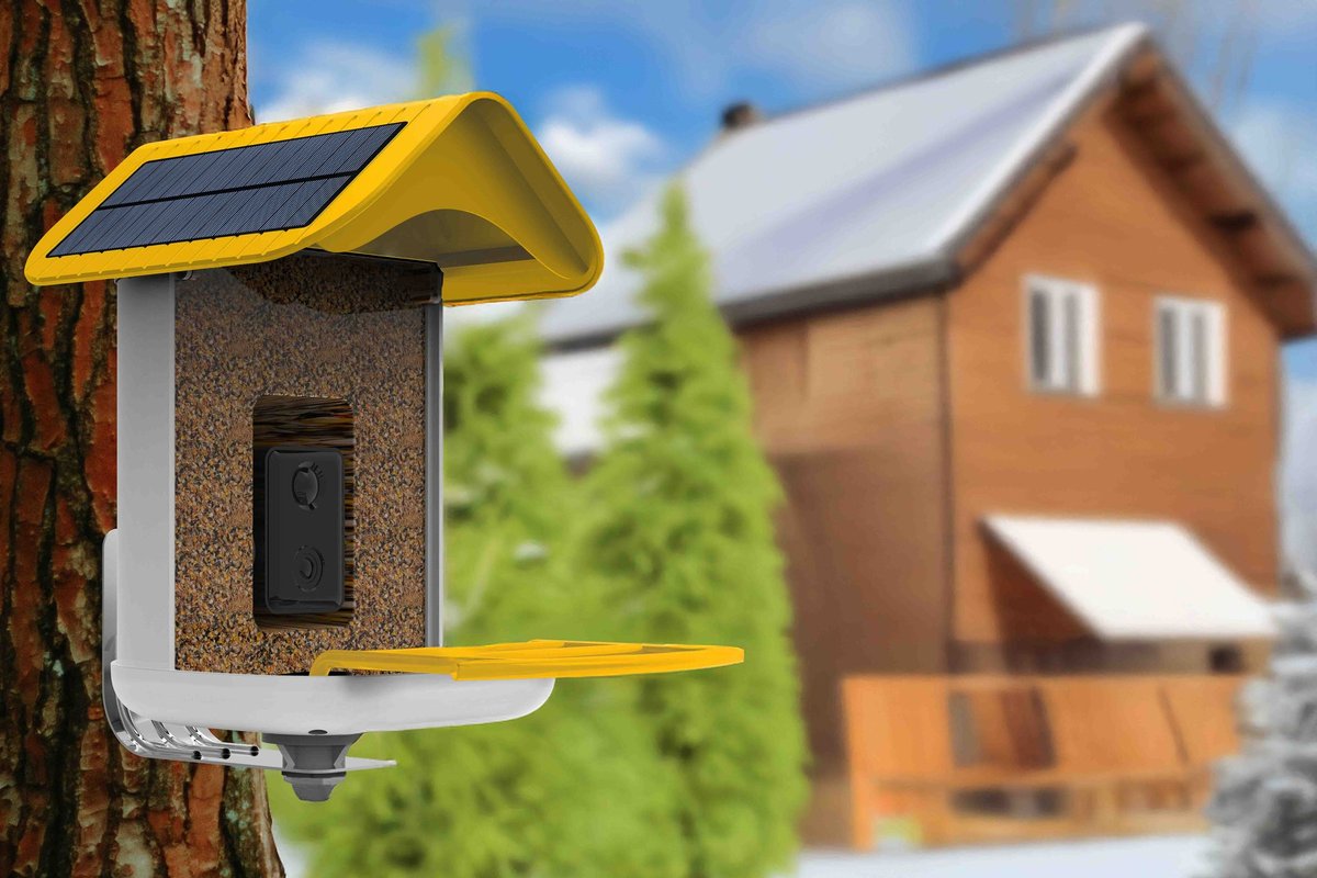 5 Ways Smart Feeders Make Birdwatching Better This Winter