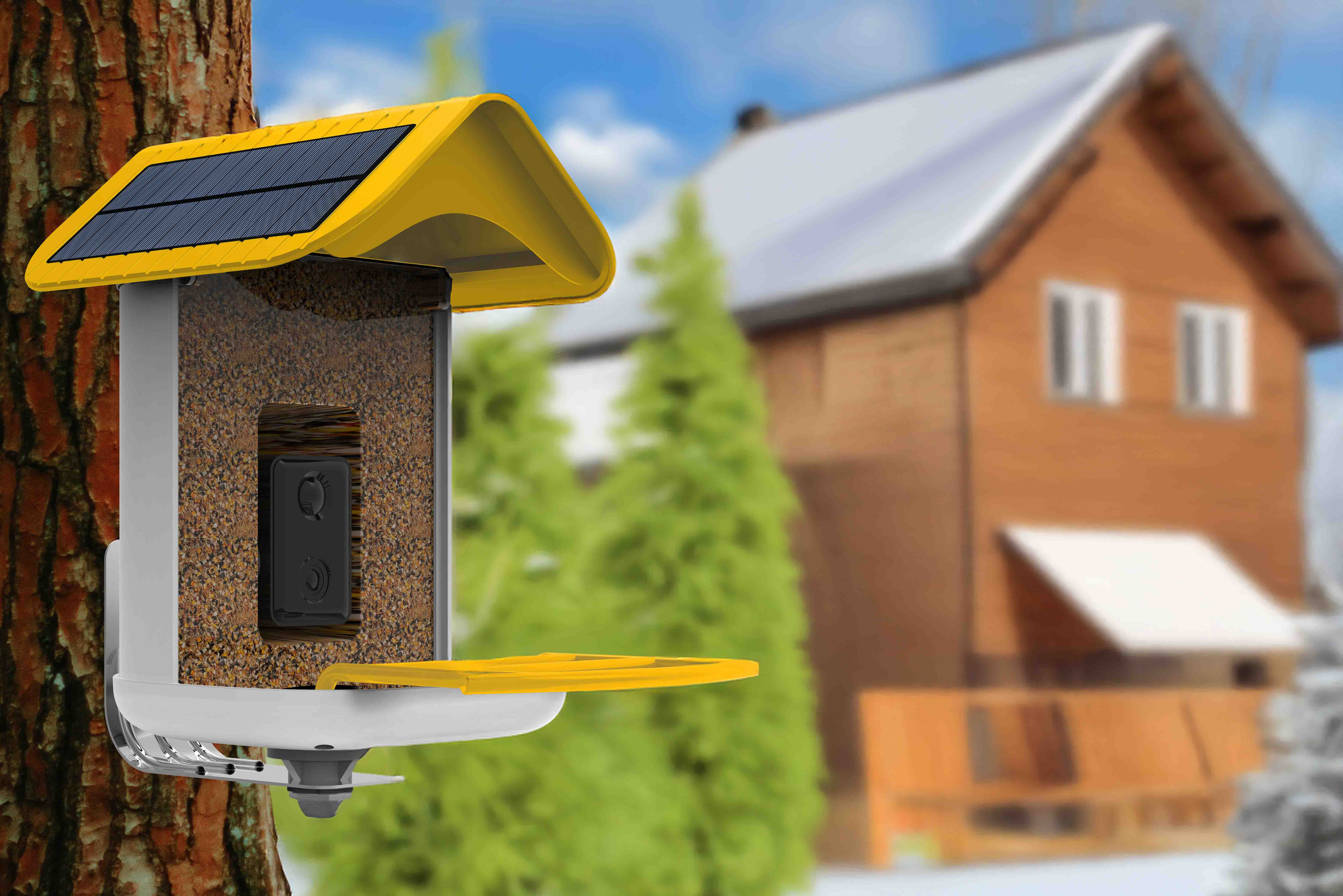 Bird feeder with solar panel attached to a tree, wooden cabin in the background