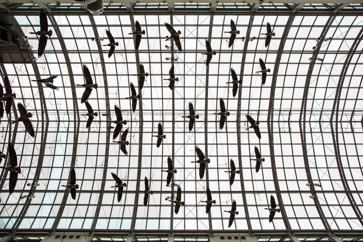 Why Smart Birdwatching Is the Perfect Low-Stress Holiday Hobby
