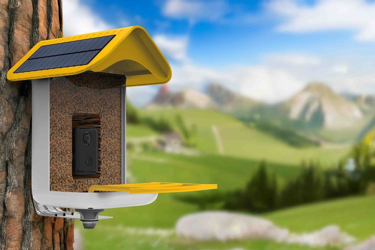 The Gift of Connection: Why Smart Feeders are 2026’s Top Accessibility Tech