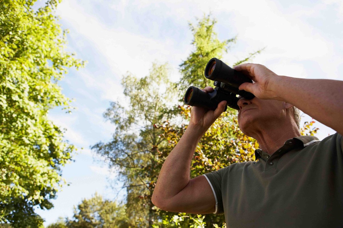The Modern Mentor: Using Tech to Teach Your Grandkids About Nature