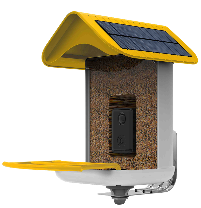 Smart Bird Feeder by Trail Optics