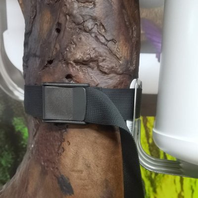 Trail Optics Smart Bird Feeder Tree Mounting Strap