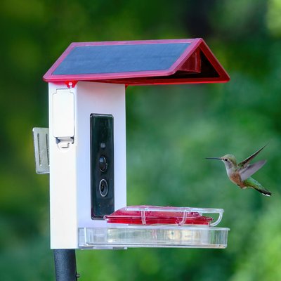 Trail Optics Smart Hummingbird Feeder