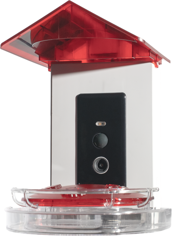 Trail Optics Smart Hummingbird Feeder