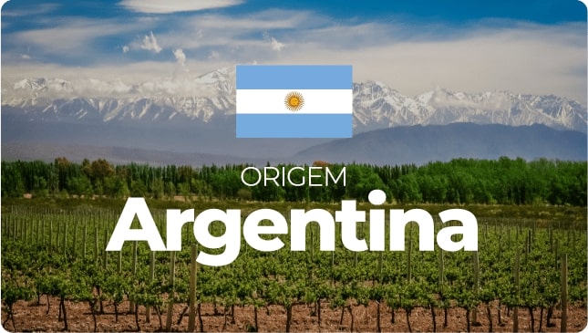 banner-argentina-min