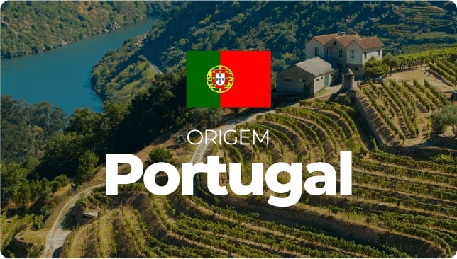 banner-portugal-min
