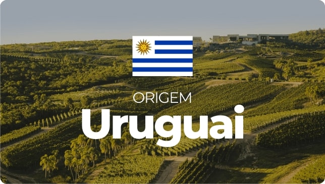 banner-uruguai-min