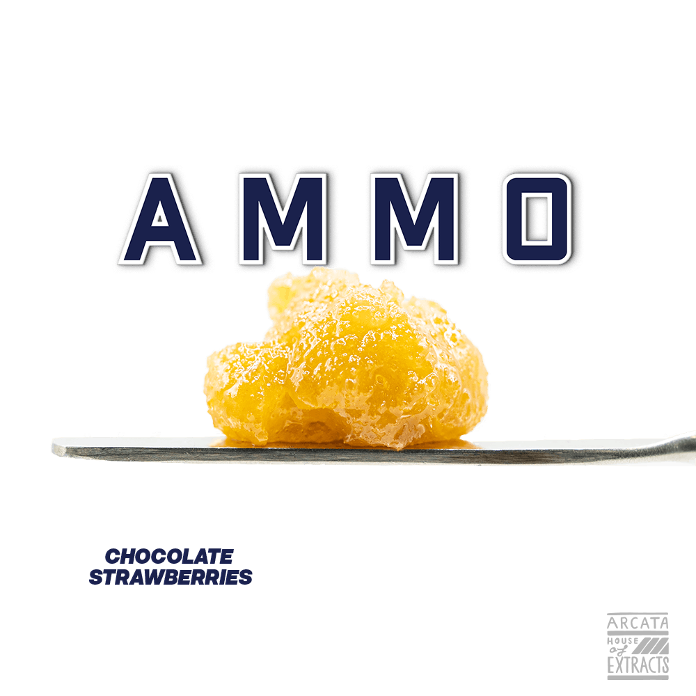 Chocolate Strawberries - Loaded Live™ Resin - image 1