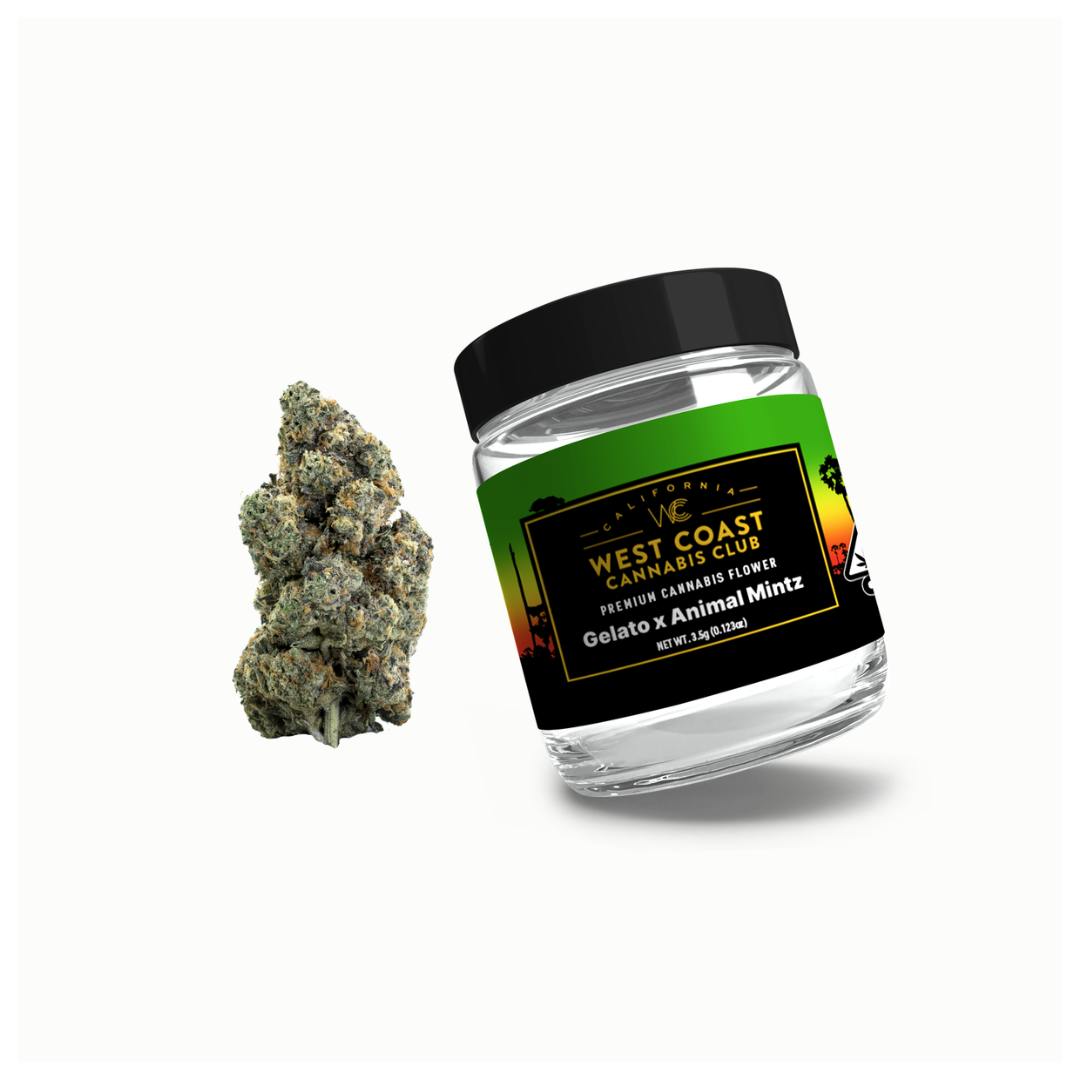 WCCC | Gelato 41 x Animal Mints - image 1
