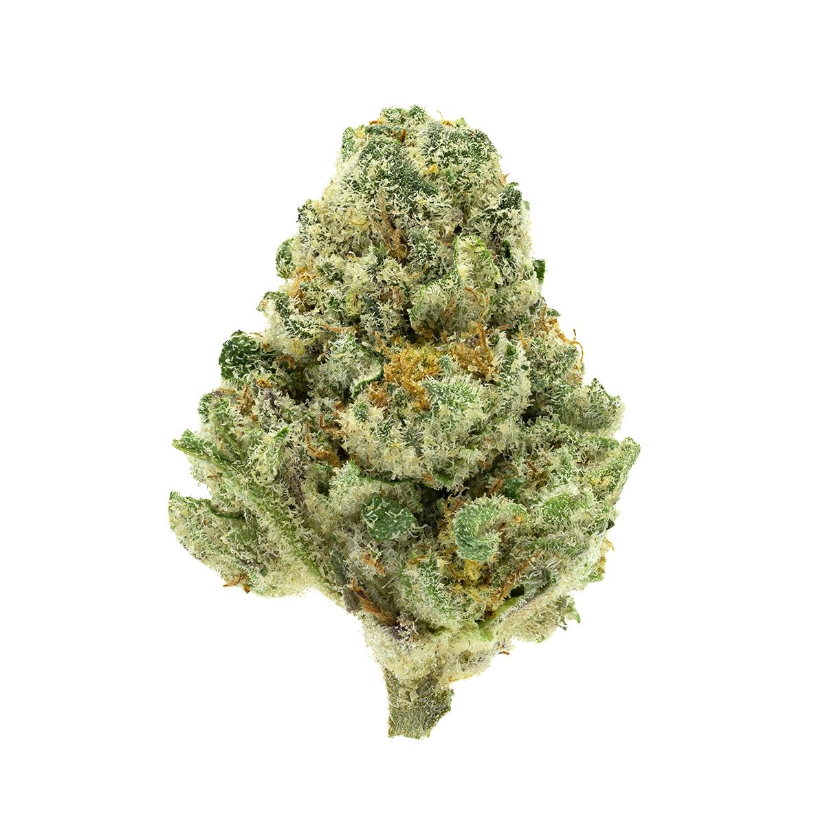 Humo | Celos Kush Indica (3.5g) - image 2