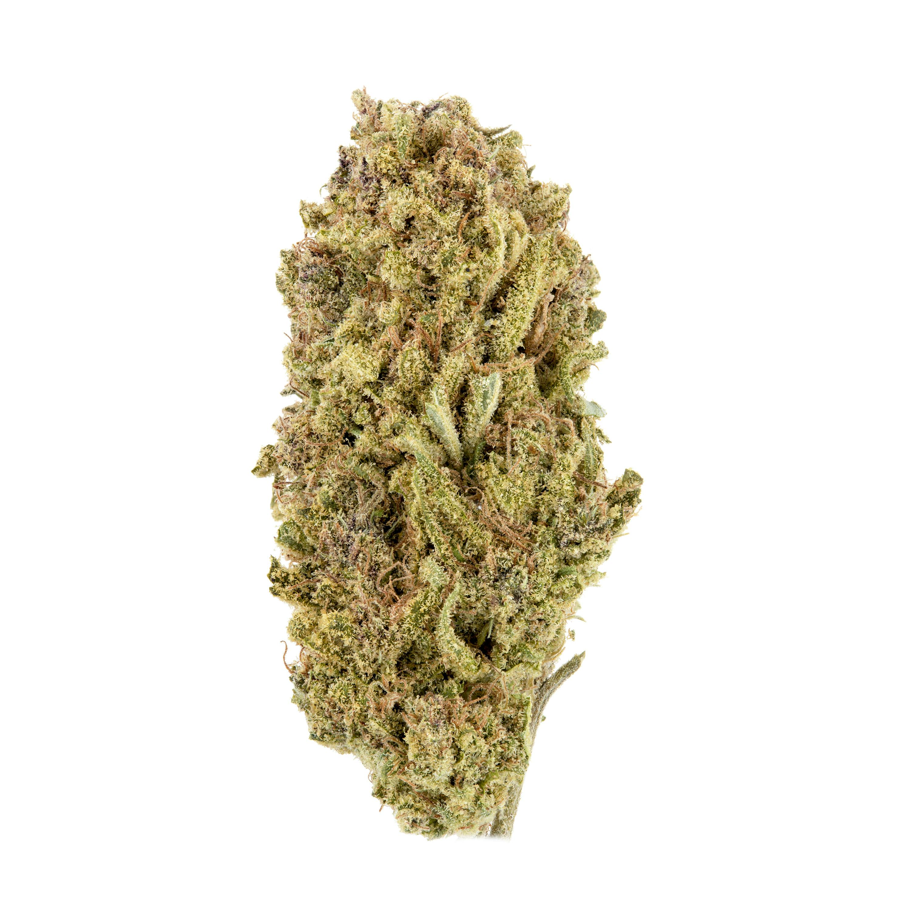 Pink Passionfruit - image 1