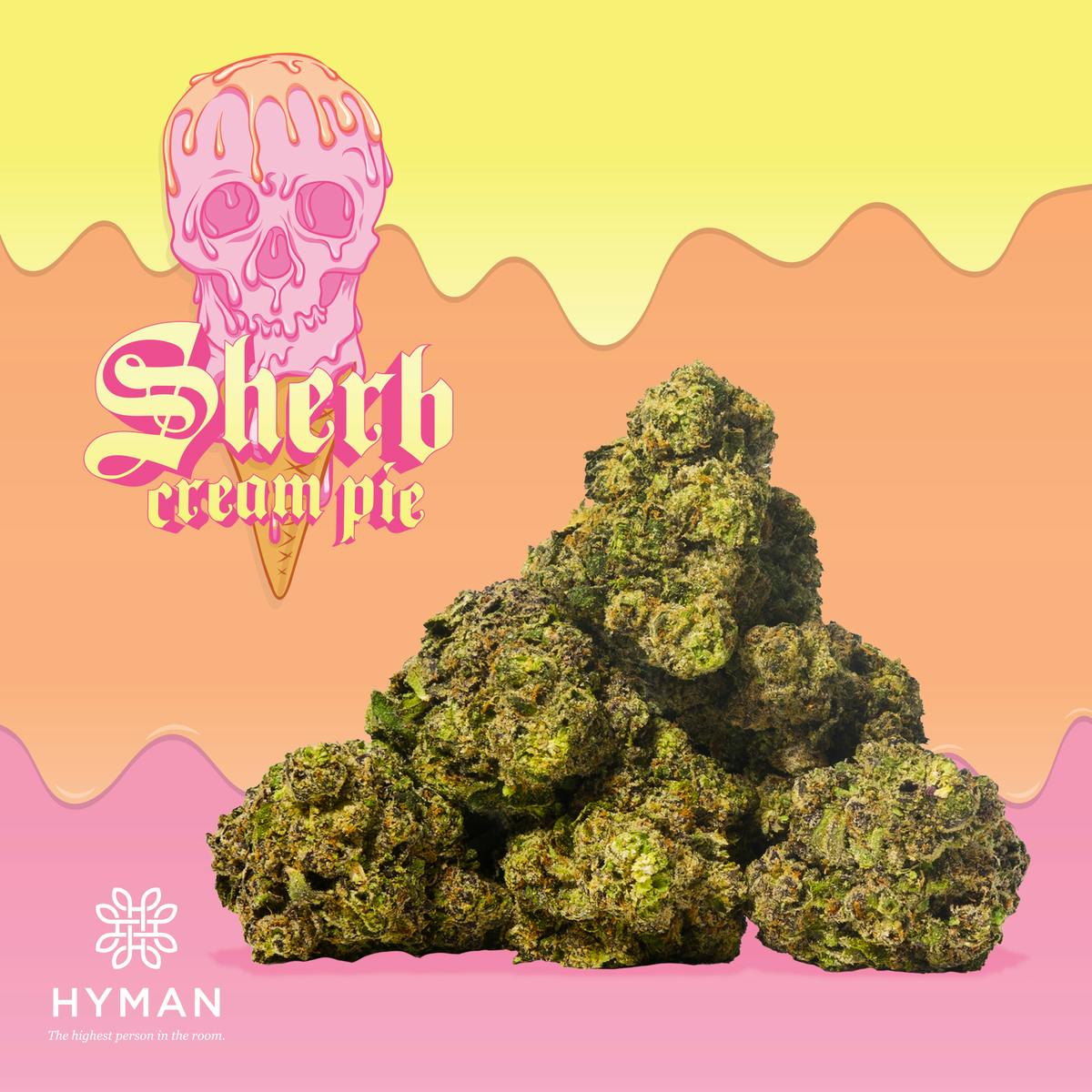Sherb Cream Pie | 3.5G Pre-Pack | HYMAN x Bonez | MED - image 1