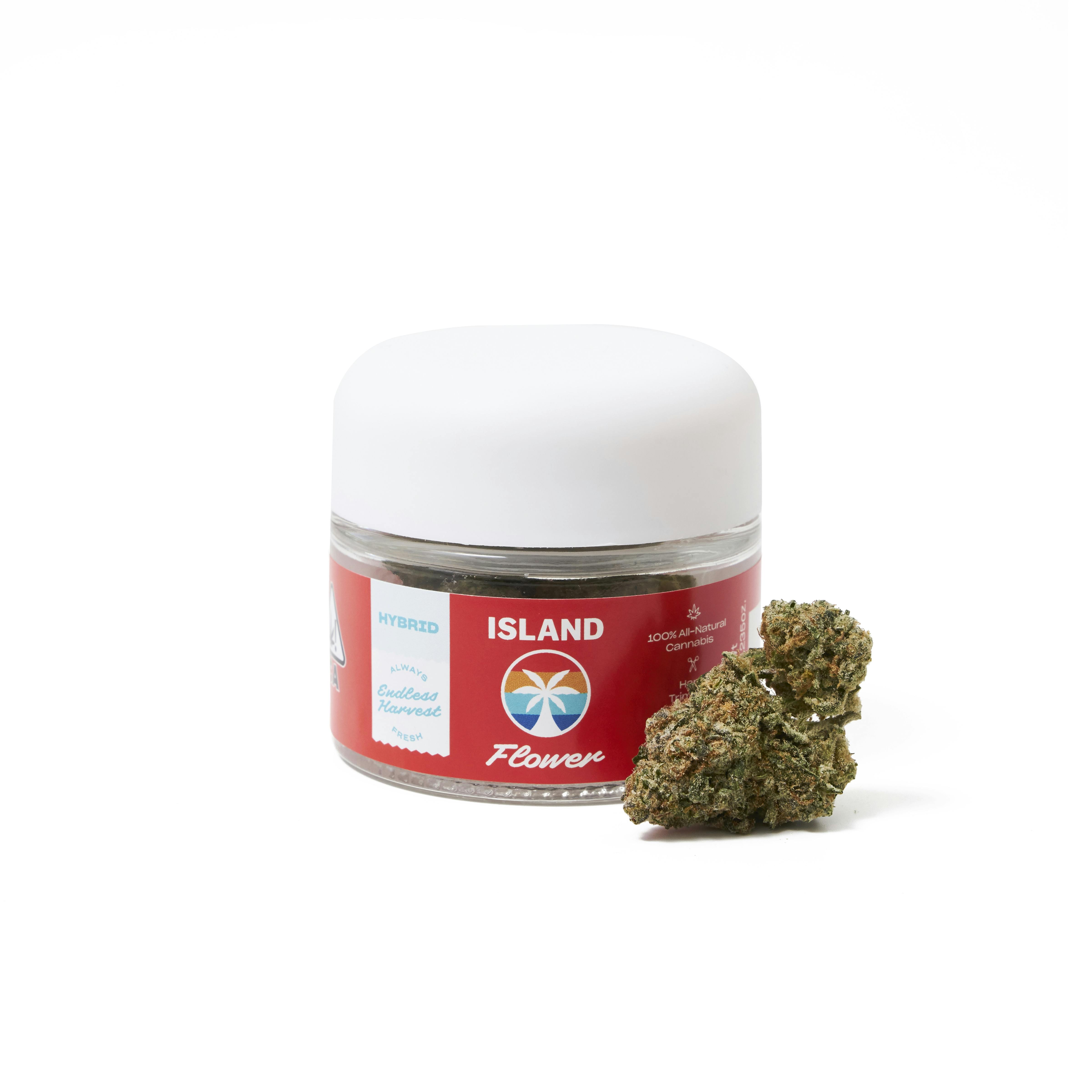 White Runtz (Hybrid) - image 1