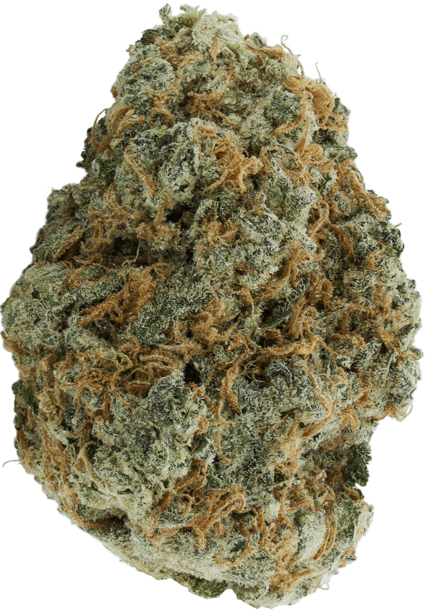 Citrus Skunk - 3x0.5G Pre-Rolls - Saskatchewan - image 2