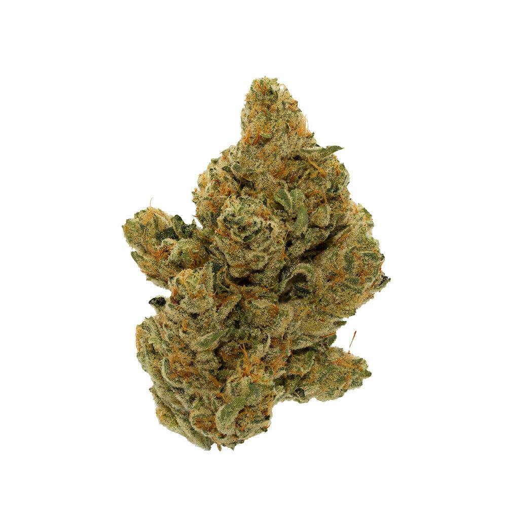 White Fire - image 2
