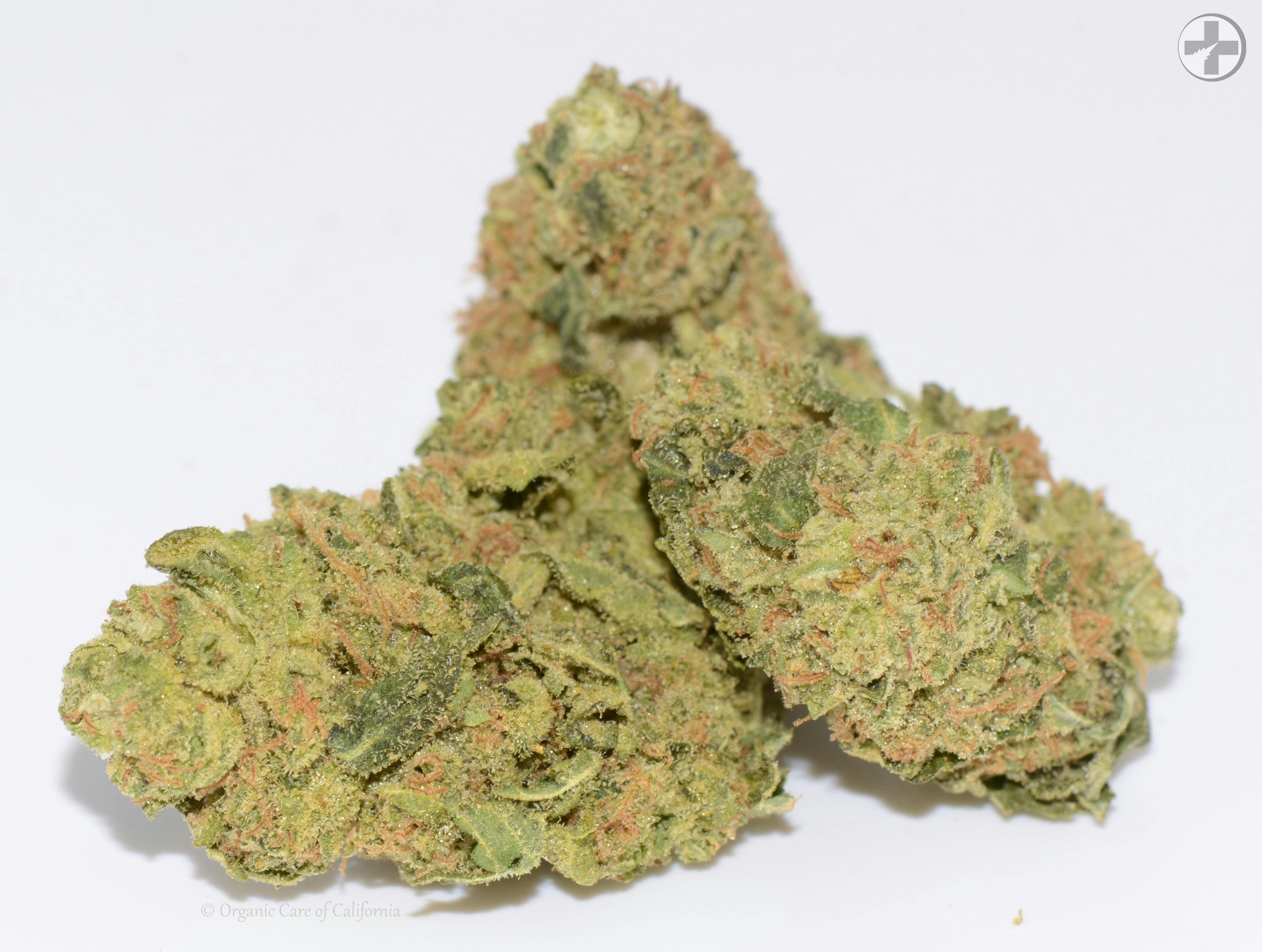 (29.4%) Chem Dawg (3.5g) INDICA Greenhouse - image 1