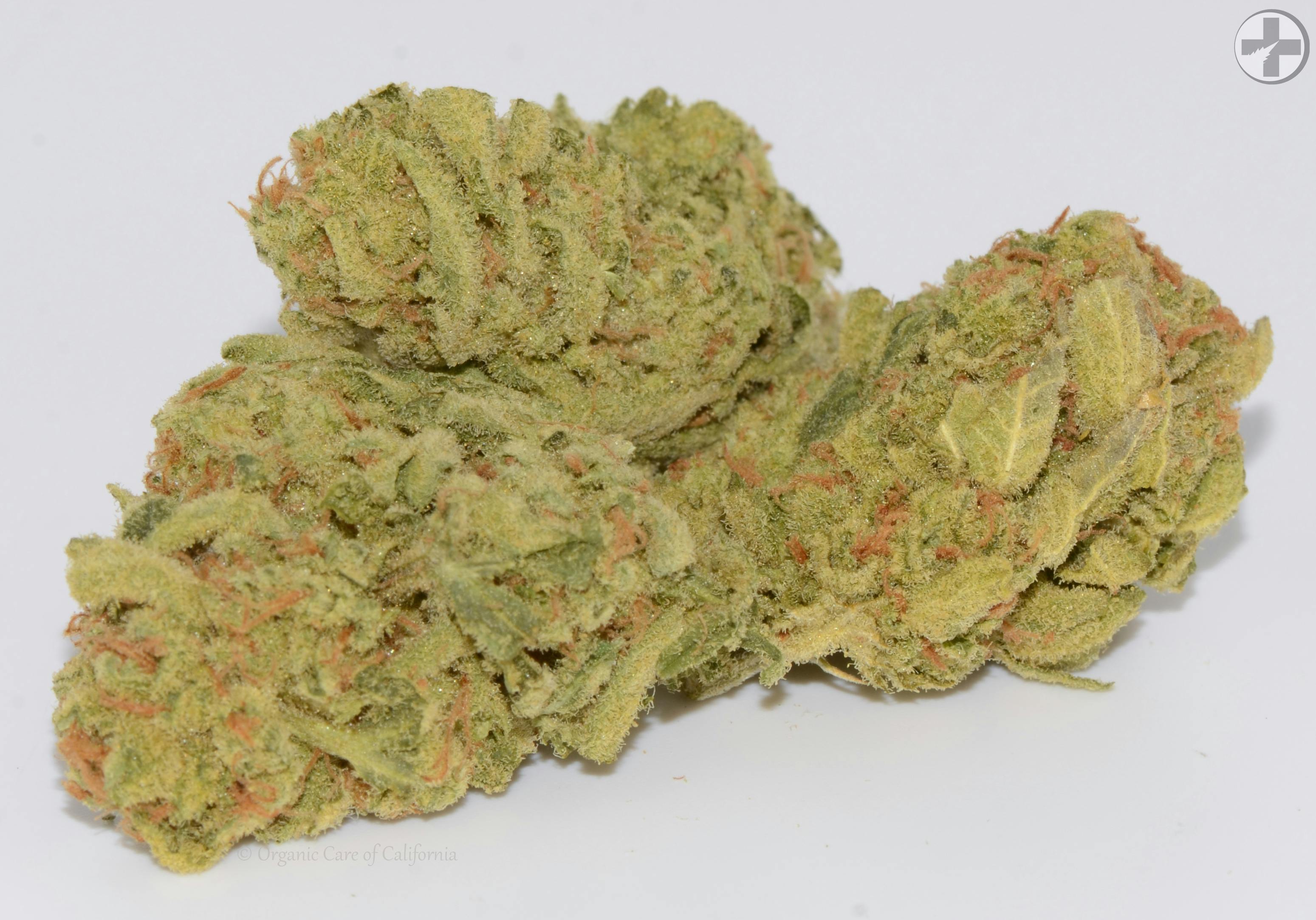 (29%) Lucid Blue (3.5g) SATIVA Greenhouse - image 1