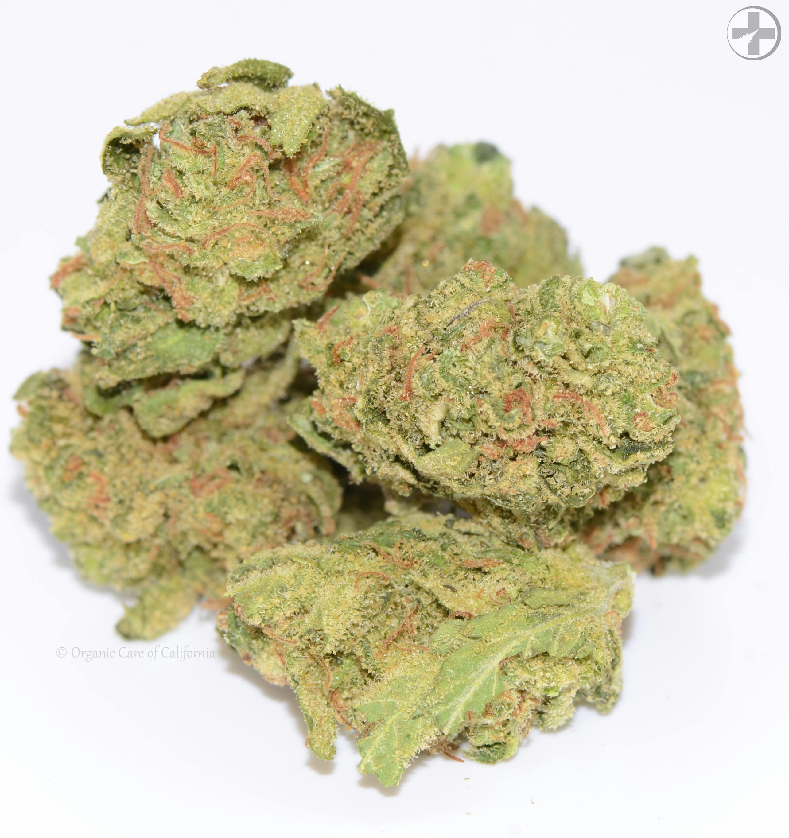 (29.5%) Sour Jack (3.5g) SATIVA Greenhouse - image 2