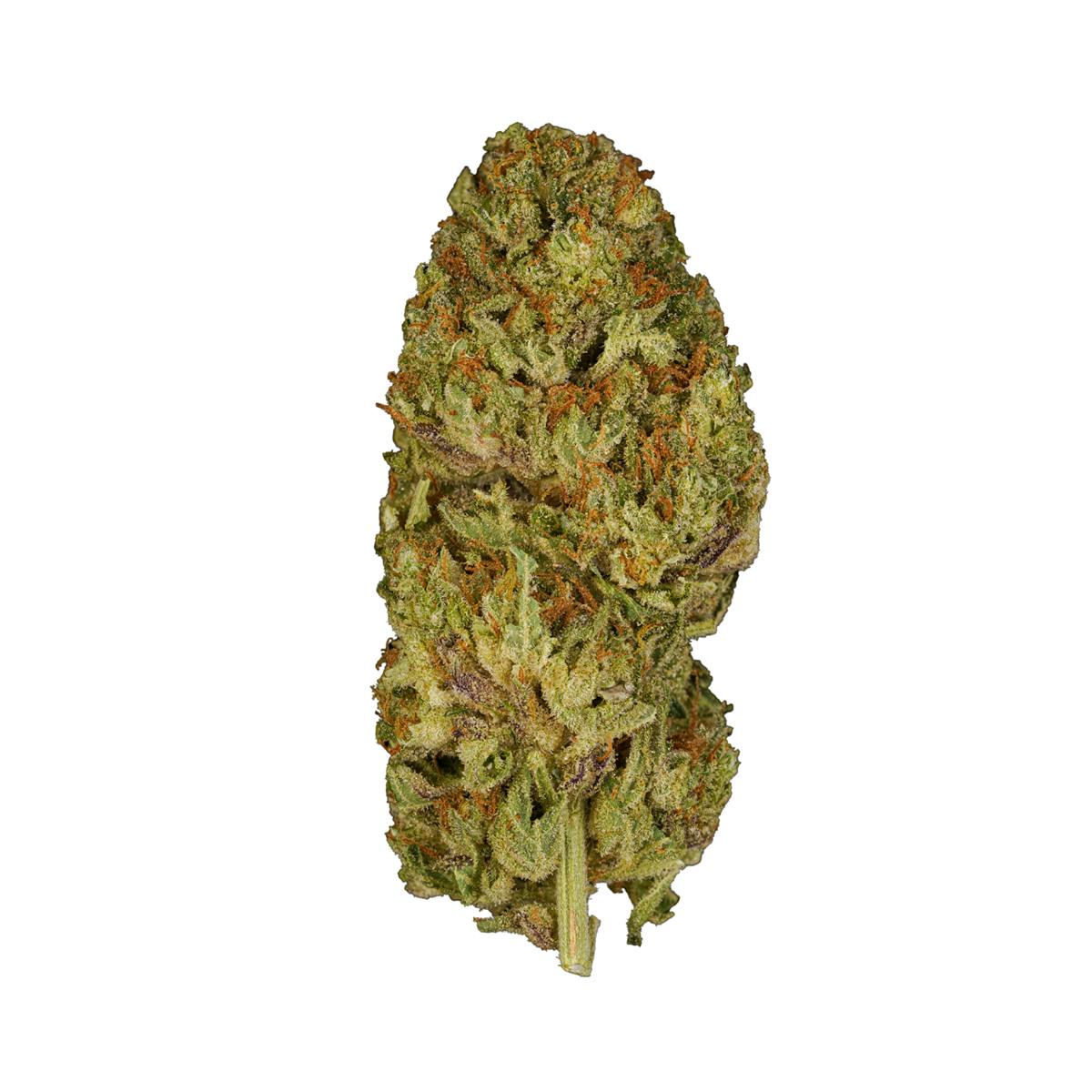Humo | Cabrona Sativa (28g) - image 2